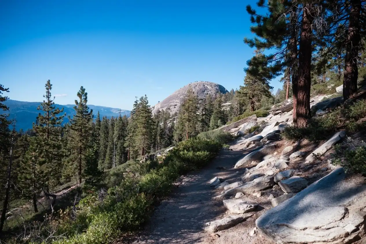 Sentinel Dome Trail